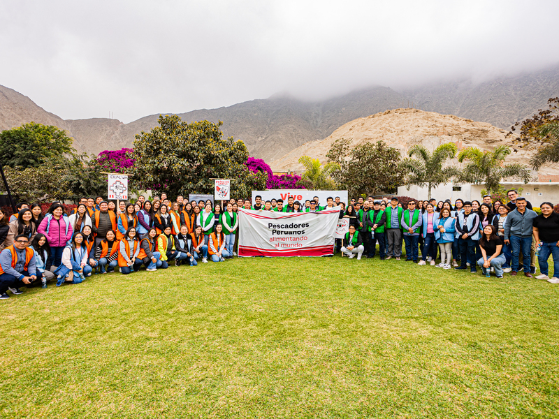 Dinámicas de integración, teambuilding, gymkanas